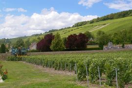 Route de Champagne - Picardie
Barzy sur Marne