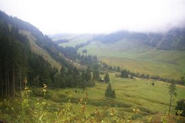 Ferleitental
Ferleiten Valley