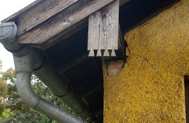 Kolbermoor
Spinnereiinsel