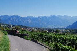 Heidiland
Rheintal - Maienfeld - Landquart (ganz hinten)
Plessur-Alpen

Heidiland - Heidi Town
Alps Rhine Valley - Maienfeld - Landquart (far background)
Plessur Alps Range, Grisons