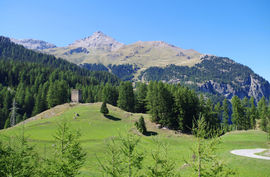 Surses - bei/near Sur
Burg / castle Spliatsch
Piz Arblatsch