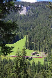 Schanfigg
Arosa-Bahn - bei/near Langwies