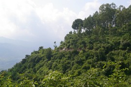 Shivaliks
State Highway 9