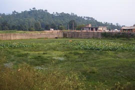 Kunihar
Kunihar talab
