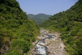 near Kunihar