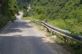 near Arki
State Highway 9