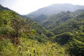 Shivaliks