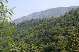 near Bilaspur