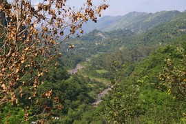 Shivaliks