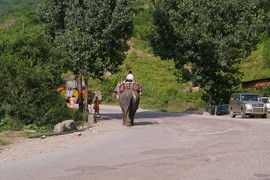 Shivaliks
National Highway 21