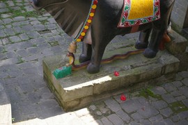 Mandi
