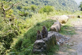 Beas Valley