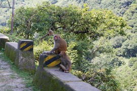 Beas Valley