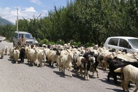 Kullu Valley
National Highway 21