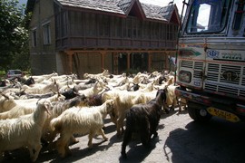 Kullu Valley
National Highway 21
