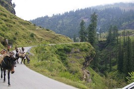 Rohtang La