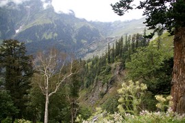 Rohtang La
