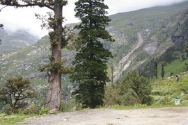 Rohtang La