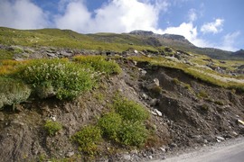 Rohtang La 
Marhi Loops