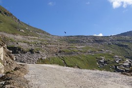 Rohtang La 
near Rani Nallah