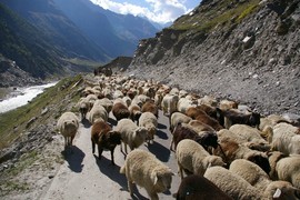 Chandra Valley
Chandra River
