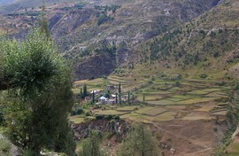 Bagha Valley
near Keylong