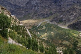 Bagha Valley