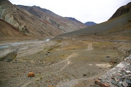 Bagha River
near Patseo