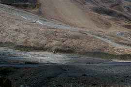 Bagha River