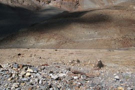 Bagha River