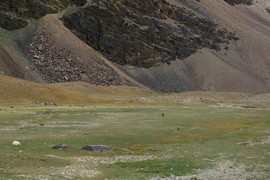 Lingti