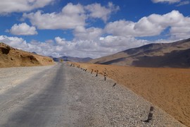 Morey Plains