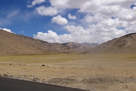 Morey Plains