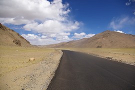 Morey Plains