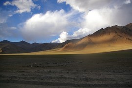 Morey Plains
