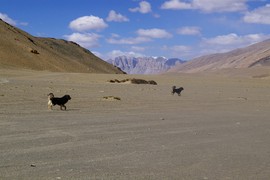 Djena Range