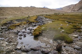 Gya Valley
tributary to Gya