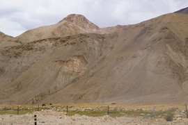 near Rumtse
Gya Canyon