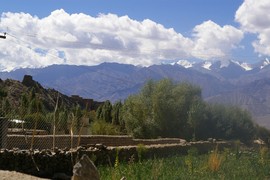 Chubi
Leh Palace