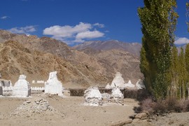near Shey