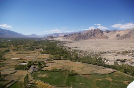 Indus Valley
near Thiksey