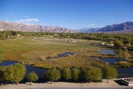 Shey
holy fish ponds
Thiksey