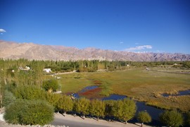 Shey
holy fish ponds
Thiksey