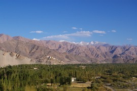 Thiksey, seen from Shey 
Thiksey von Shey aus gesehen