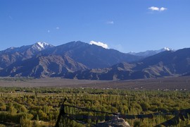 Indus Valley
Matho Kangri
Matho Gompa