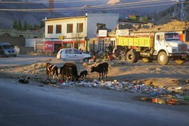 Leh
Manali-Leh-Hignway