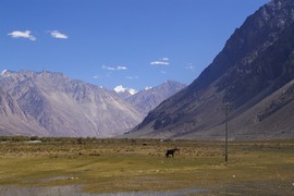 Nubra Valley