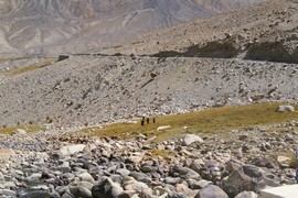 near Khardung