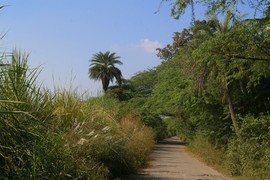 near Ghaziabad
Upper Ganga Canal