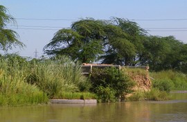 near Ghaziabad
Upper Ganga Canal